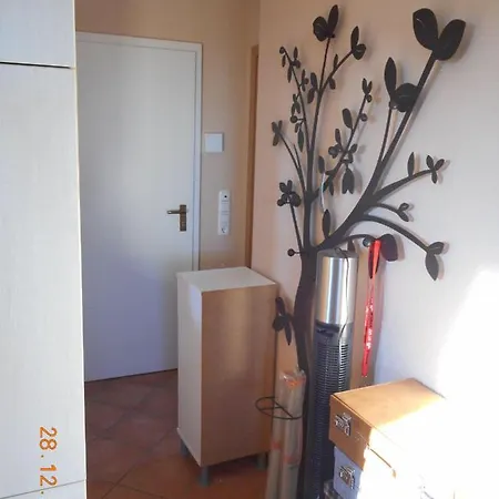 Sonnenblume * Landkirchen